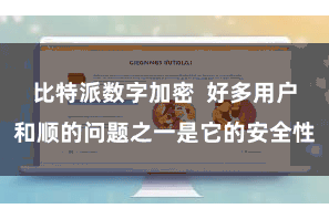比特派数字加密  好多用户和顺的问题之一是它的安全性