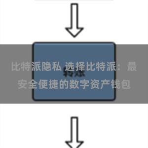 比特派隐私 选择比特派：最安全便捷的数字资产钱包