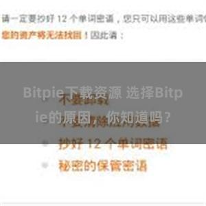 Bitpie下载资源 选择Bitpie的原因，你知道吗？