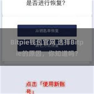 Bitpie钱包官网 选择Bitpie的原因，你知道吗？