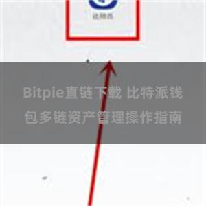 Bitpie直链下载 比特派钱包多链资产管理操作指南