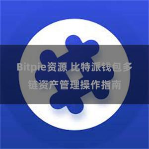 Bitpie资源 比特派钱包多链资产管理操作指南