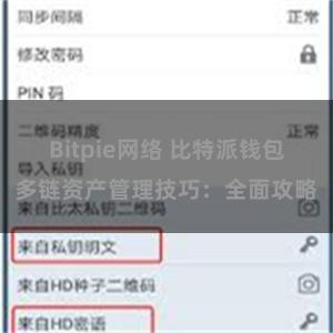 Bitpie网络 比特派钱包多链资产管理技巧：全面攻略