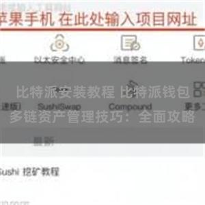 比特派安装教程 比特派钱包多链资产管理技巧：全面攻略