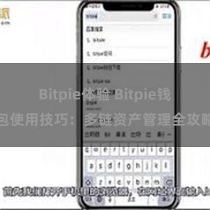 Bitpie体验 Bitpie钱包使用技巧：多链资产管理全攻略