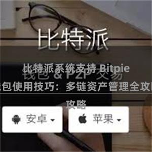 比特派系统支持 Bitpie钱包使用技巧：多链资产管理全攻略