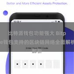 比特派钱包功能强大 Bitpie钱包支持的区块链网络全面解析