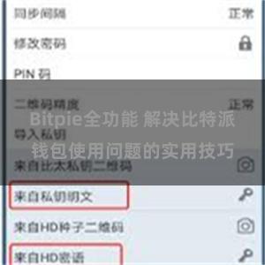 Bitpie全功能 解决比特派钱包使用问题的实用技巧