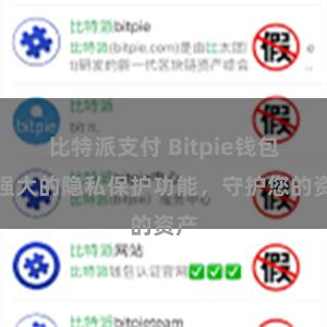 比特派支付 Bitpie钱包：强大的隐私保护功能，守护您的资产