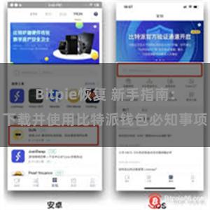 Bitpie恢复 新手指南：下载并使用比特派钱包必知事项