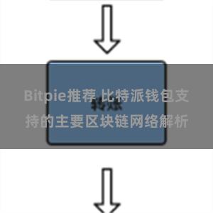 Bitpie推荐 比特派钱包支持的主要区块链网络解析