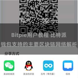 Bitpie用户教程 比特派钱包支持的主要区块链网络解析