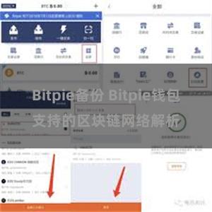 Bitpie备份 Bitpie钱包支持的区块链网络解析