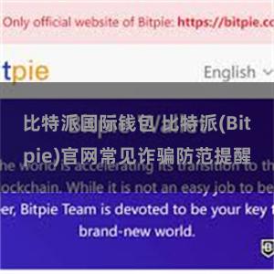 比特派国际钱包 比特派(Bitpie)官网常见诈骗防范提醒