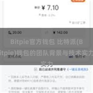 Bitpie官方钱包 比特派(Bitpie)钱包的团队背景与技术实力