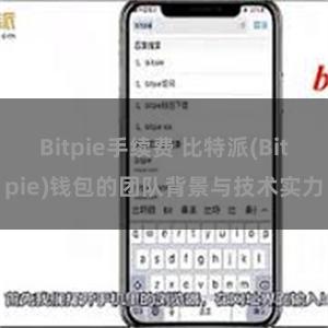 Bitpie手续费 比特派(Bitpie)钱包的团队背景与技术实力