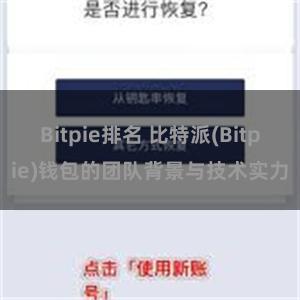 Bitpie排名 比特派(Bitpie)钱包的团队背景与技术实力