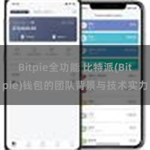 Bitpie全功能 比特派(Bitpie)钱包的团队背景与技术实力