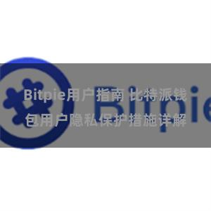 Bitpie用户指南 比特派钱包用户隐私保护措施详解