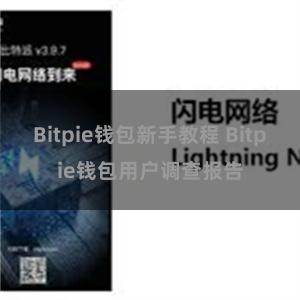 Bitpie钱包新手教程 Bitpie钱包用户调查报告