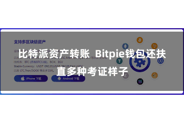 比特派资产转账  Bitpie钱包还扶直多种考证样子