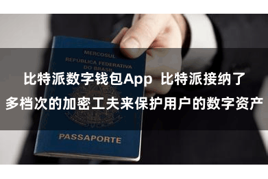 比特派数字钱包App  比特派接纳了多档次的加密工夫来保护用户的数字资产
