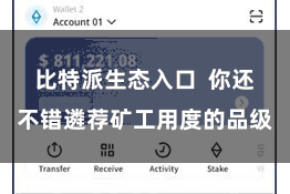 比特派生态入口 你还不错遴荐矿工用度的品级