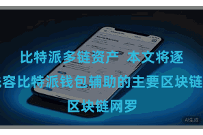 比特派多链资产 本文将逐一先容比特派钱包辅助的主要区块链网罗