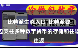 比特派生态入口  比特派钱包支柱多种数字货币的存储和往返