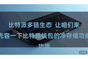 比特派多链生态  让咱们来先容一下比特币钱包的冷存储功能