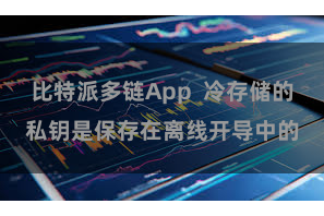 比特派多链App  冷存储的私钥是保存在离线开导中的